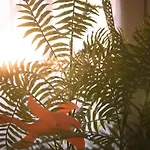 펜션 La Casa Del Agua Tr-ba-00184 라갈로빌라