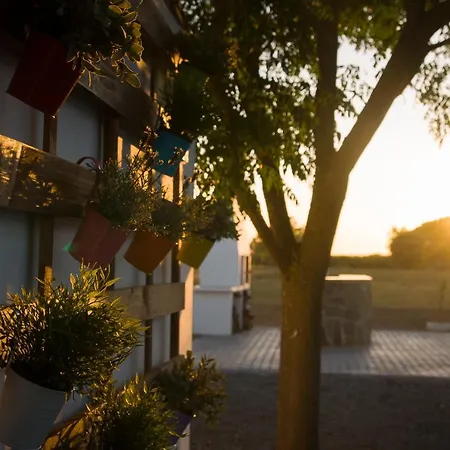 La Casa Del Agua Mérida Сasa de vacaciones La Garrovilla
